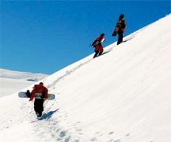 Wrist guards with or without Snowboard Ski gloves