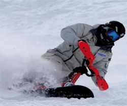Snowboard Ski Impact Shorts